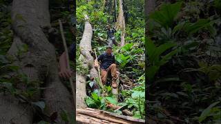 Dangerous jungle hike to hidden waterfall! (Peruvian virgin jungle)