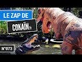 Le Zap de Cokaïn.fr n°073