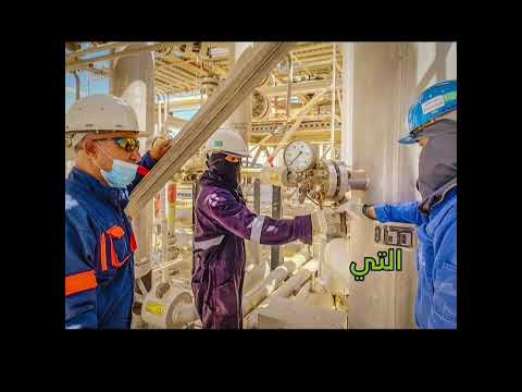 شركة السرير