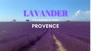 SUB｜2021南法生活｜Provence 丨Plateau du Valensole ... 