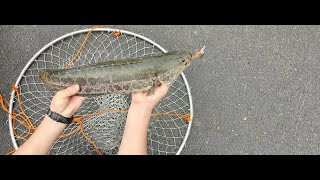 Drasry High Load Bearing Aluminum Ring Bridge and Pier Fishing Net