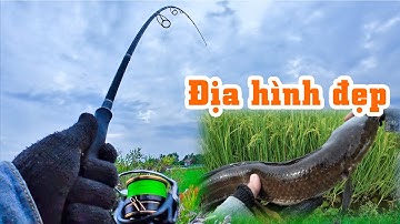 Địa hình cỏ và bãi câu vùng này rất nhiều cá | THÚ VUI MIỀN TÂY. 57