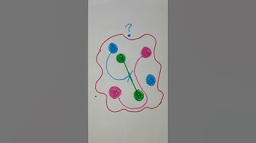 which way is true? #puzzle #game #iqtest #challenge #shorts #viralvideo #ternding