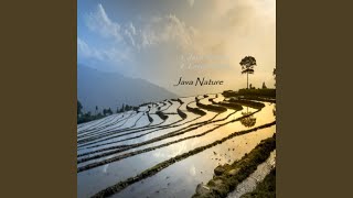 Download Lagu Java Nature Download Lagu Java Nature