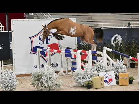 Kilimandjaro Semilly Championnat de France 2ans