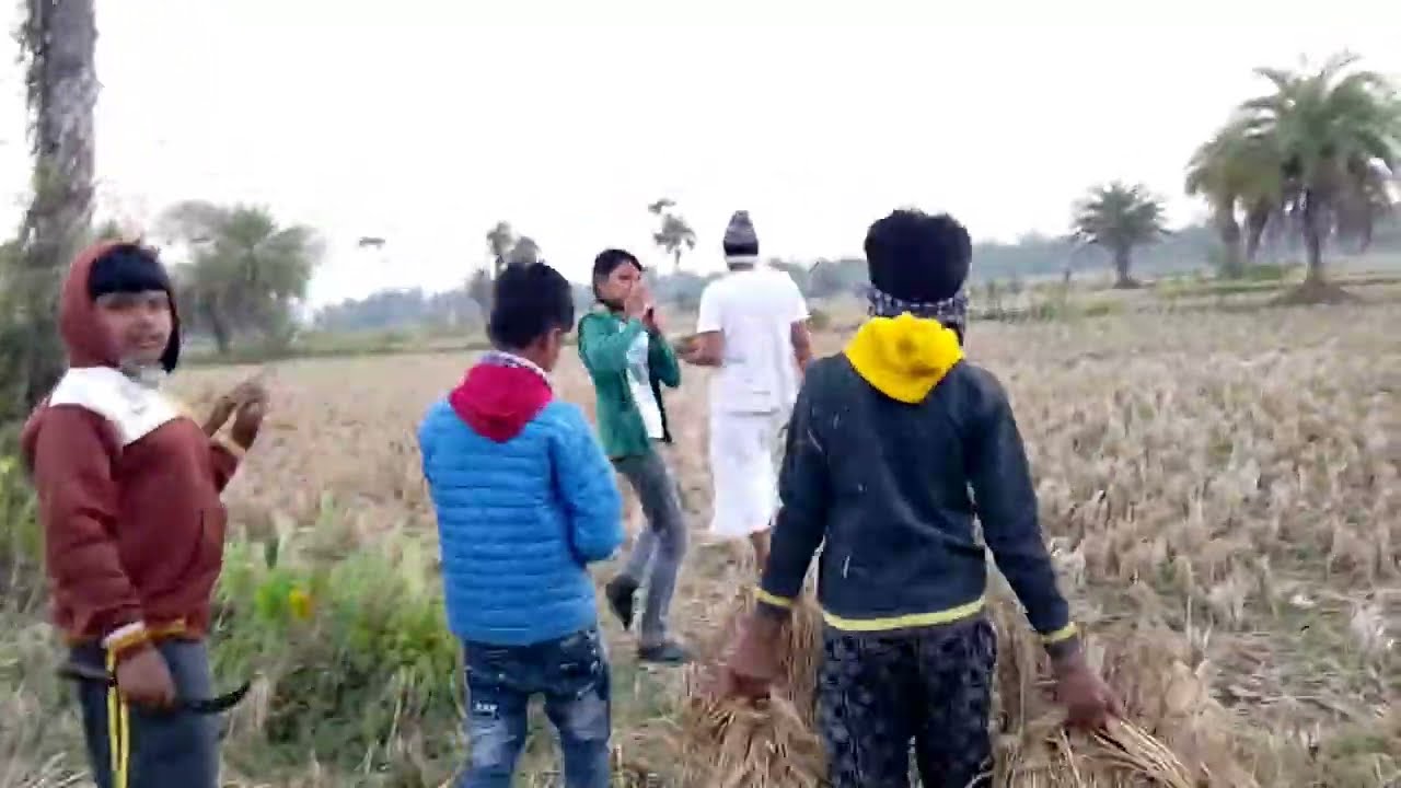 চাষের জমিতে মকর তোলা/ক্ষেত পূজা।chaser jomite khet puja🌾🌾