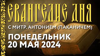 Понедельник, 20 мая 2024 года. Толкование Евангелия с митр. Антонием (Паканичем).