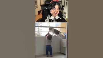 Valkyrae REACTS to Daily Dose of Internet