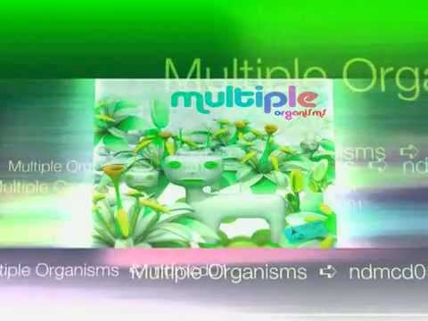 Bonus Chill Out [Spun In Motion]