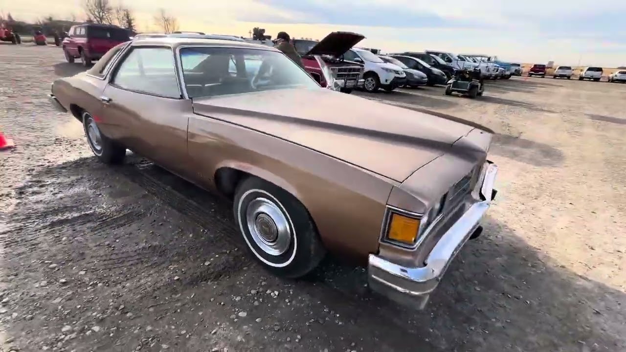 Lot 76, 1976 Pontiac Lemans two-door car ￼