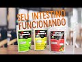 Seu intestino PRECISA funcionar - Super Formula