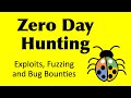 How to find Zero Day exploits