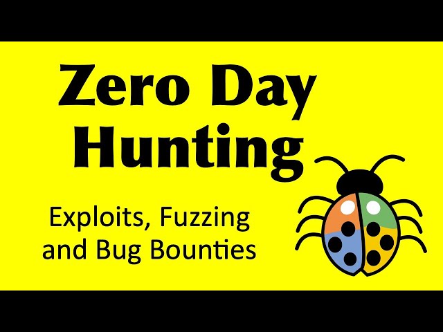 How to find Zero Day exploits