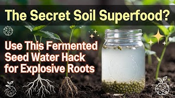 Fermented Seed Water: The Forgotten Trick That Multiplies Microbes Fast