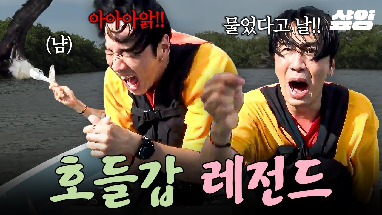 [#콩콩팡팡] 어우C! 아파앜! 새가 날 물었다고! 훼크(?) 블러드!!🦅 군함조 밥 두 번 줬다간 큰일 날 듯한 광수😂
