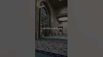 ما تيسر من سوره الفجر