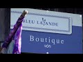 Discover The Bleu Lavande Experience