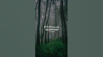سورة الزلزلة (كاملة) | القارئ عبدالله الموسى