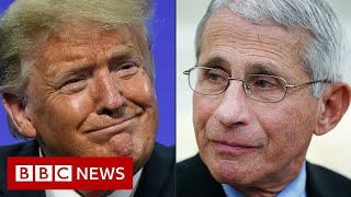 Coronavirus: White House targets US disease chief Dr Anthony Fauci - BBC News