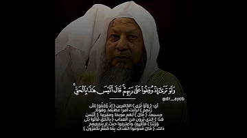 تلاوة هادئة الشيخ محمد أيوب رحمه الله 