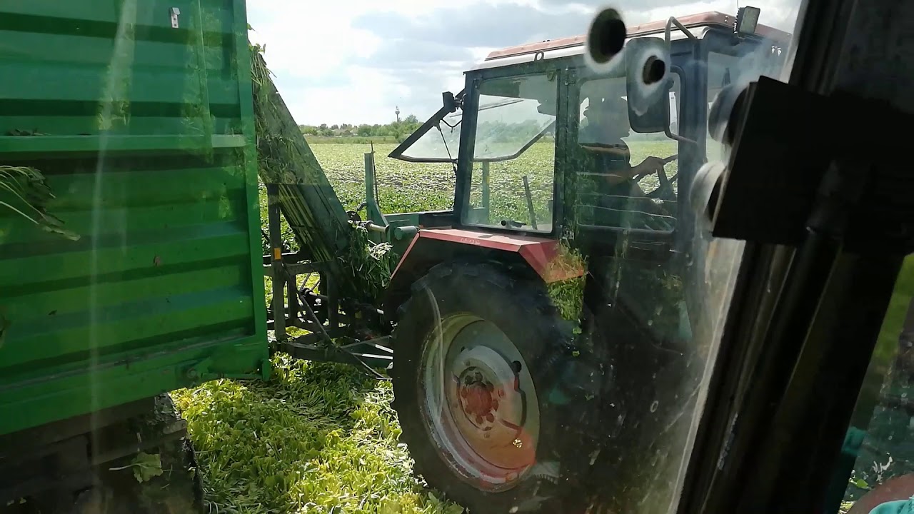 Év végi videók 2020