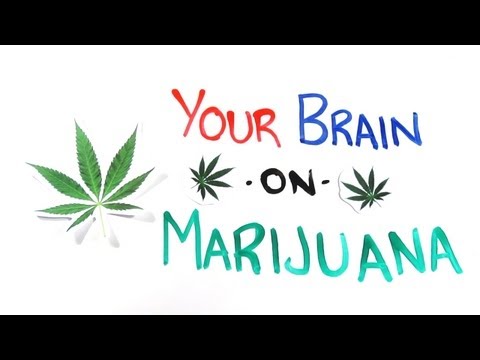 Tu cerebro contra las drogas: la marihuana