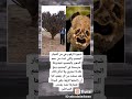 ماهي شجرة الزقوم التي ذكرت في القرٱن الكريم ماهي شجرة الزقوم التي ذكرت في القرٱن الكريم