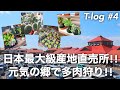 日本最大級産地直売所げんきの郷!!多肉植物も売っている地産地消施設!!