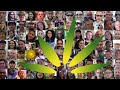 If You've Got Cannabis Questions, We've Got Answers