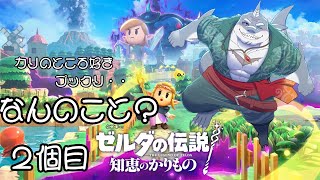 自分の配信【ゼルダの伝説 知恵のかりもの】 おまえのものはワイのものや！！２個目 【初見プレイ】
