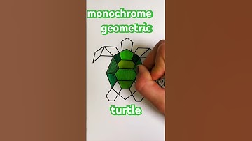 🐢 Monochrome Geometric Turtle 💚🍀🌱🧩🟩♻️🧪 #coloring
