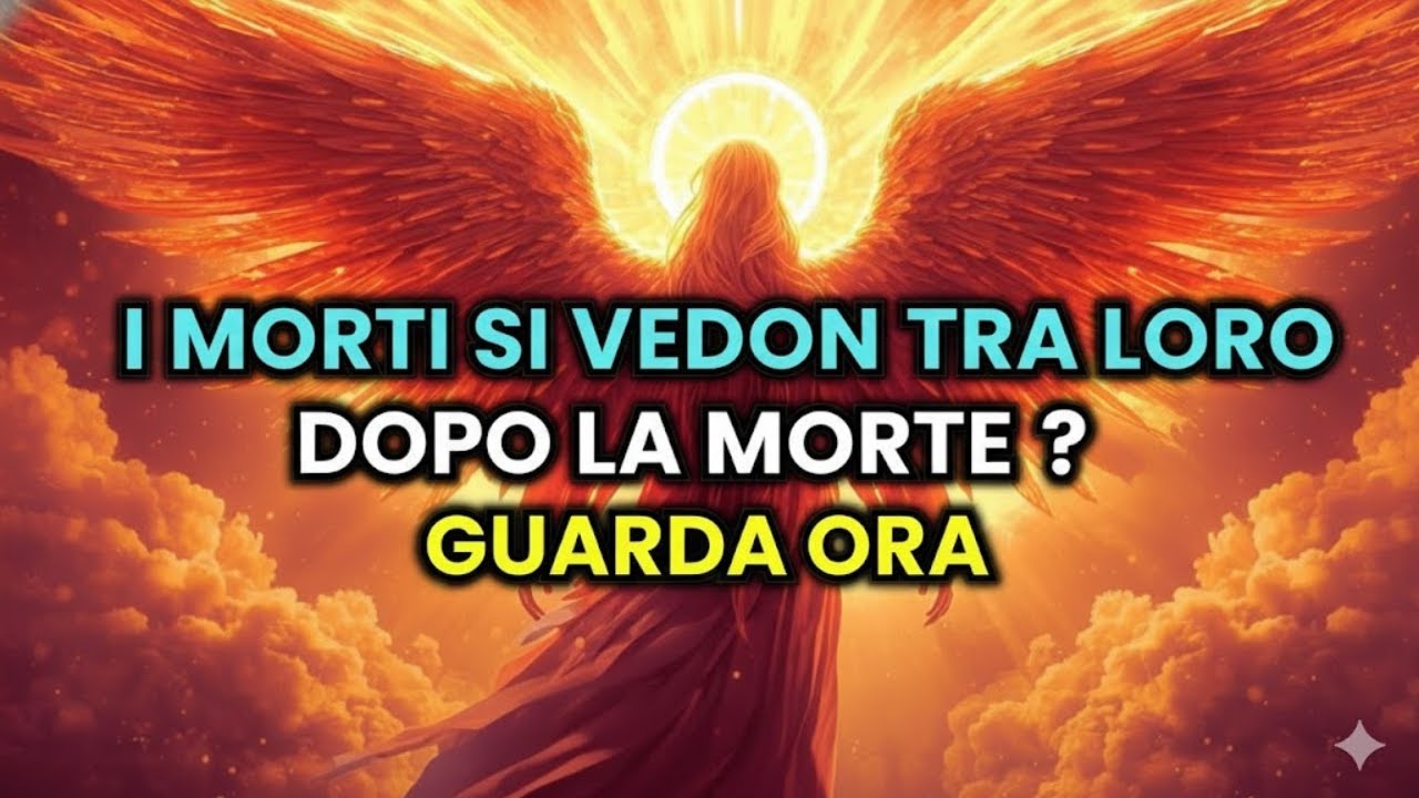 I MORTI SI VEDONO TRA LORO DOPO LA MORTE? QUESTO TI SCUOTERÀ | GUARDA ORA