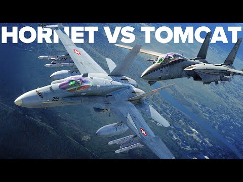 F/A-18 Hornet VS F-14 Tomcat Dogfight | DCS World