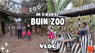 #vlog | Un día en el BUIN ZOO con las niñas 😊🦧🦁🐯🦒