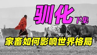 【驯化动物02】家畜给人类带来了什么“大礼” 如何影响世界格局|What gift did domestic animals bring to human?