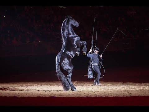 An Evening of Dancing Horses - YouTube