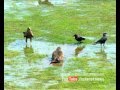 World Water Special Video Lense