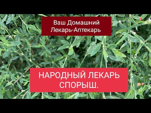 НАРОДНЫЙ ЛЕКАРЬ- СПОРЫШ.