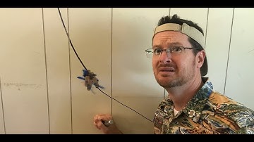 Alg 2: Ch 10.4 (Part B): Unit Circle