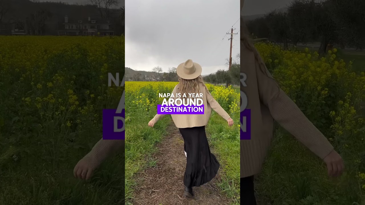 7 things to do in Napa Valley that aren&rsquo;t visiting wineries #napavalley #californiatravel