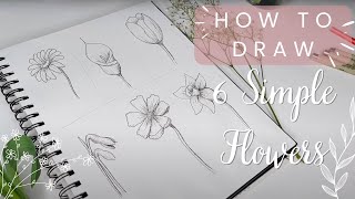 6 Simple but Realistic Flowers You Can Draw Right Now (Beginner Friendly Guide)