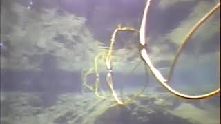 Build Your Own Undersea Robot