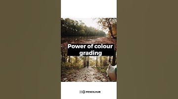 Power of colour grading  #short #colorgrading #shorts #colourgrading #pencilhub
