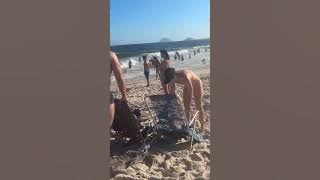 🇧🇷 Leblon Beach Rio de Janeiro🌴Brazil
