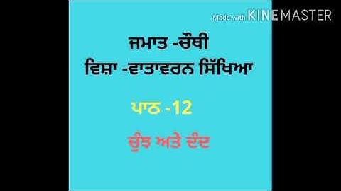 ਜਮਾਤ -ਚੌਥੀ, ਵਾਤਾਵਰਣ ਸਿੱਖਿਆ ,ਪਾਠ 12- ਚੁੰਝ ਅਤੇ ਦੰਦ