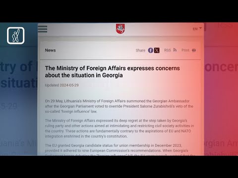 ვილნიუსი პარტნიორებთან ერთად რუსულ კანონზე საპასუხო ზომებს განიხილავს