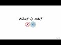 1. What is XAI?