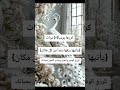رددي هذه الآية سبع مرات يومي ا بيقين واطمئنان يأتيها رزقها رغد ا من كل مكان فهي مفتاح للبركة ورزق رددي هذه الآية سبع مرات يومي ا بيقين واطمئنان يأتيها رزقها رغد ا من كل مكان فهي مفتاح للبركة ورزق