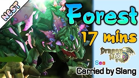 Forest Dragon 17mins / Carried run / DragonNest SEA