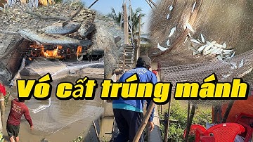 Nước rút vó cất trúng mánh cá linh non trên 500kg 